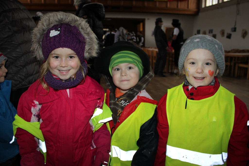 Fasching BGM Absetzung 2013 _23__jpg-1359794664