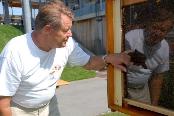 Bienenmarkt053.JPG