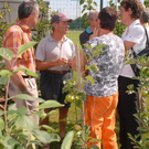 Bienenmarkt080.JPG