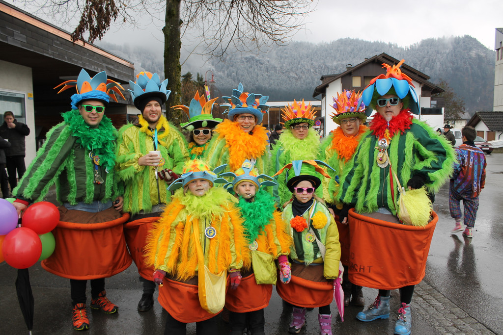 Faschingsumzug Ludesch 006_JPG-1359826909