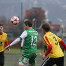 IMG_4315_jpg-1359837828
