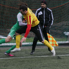 IMG_4341_jpg-1359837888