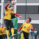 IMG_4408_jpg-1359837976