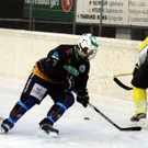 IMG_4554_jpg-1359842092