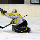 IMG_4564_jpg-1359842132
