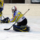 IMG_4565_jpg-1359842145