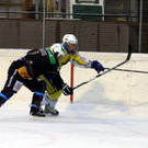 IMG_4606_jpg-1359842247