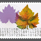 Mathematik_100_jpg-1359885488