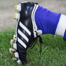 20090711_Rapid_00030157.jpg
