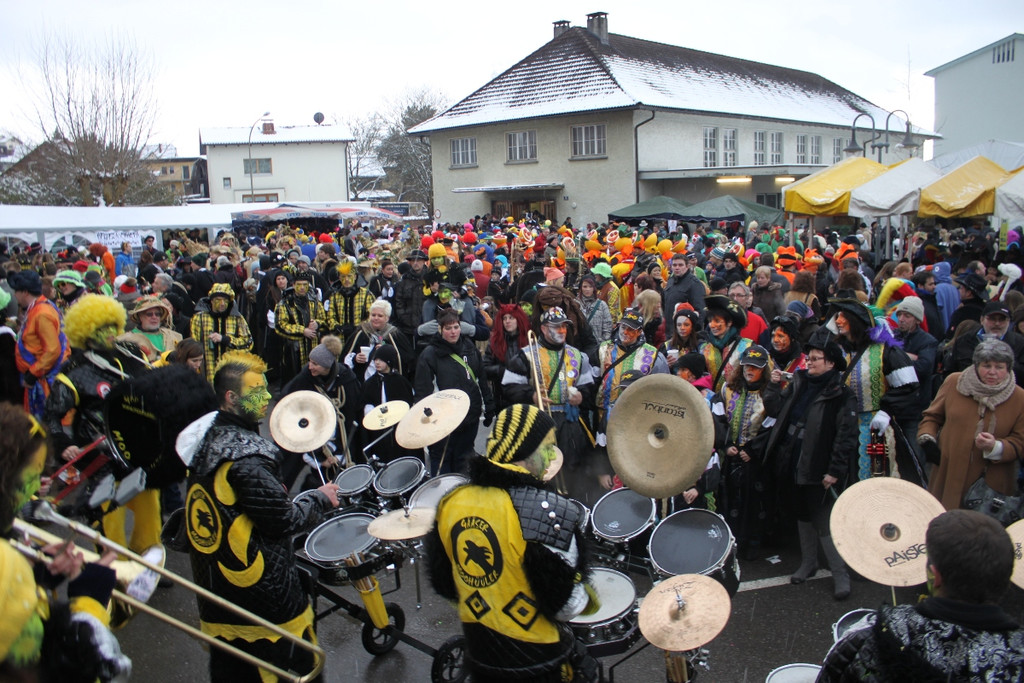 Lochau Faschingsumzug 2013 _65__jpg-1359909599