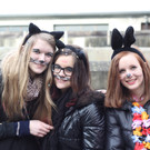 IMG_9571_JPG-1359911715