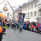 BK_Faschingsumzug FK 65_jpg-1359922579