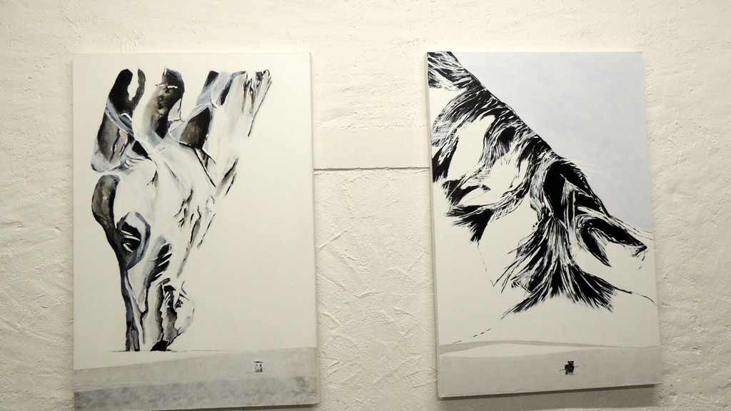 DSCN4313_JPG-1359923330