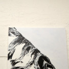 DSCN4317_JPG-1359923339