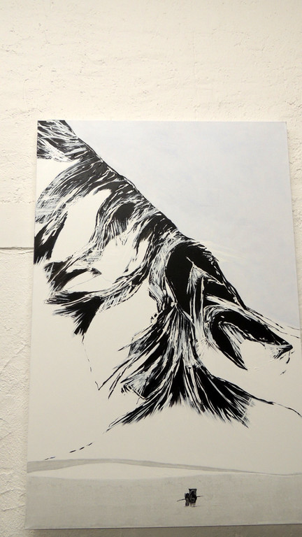 DSCN4317_JPG-1359923339