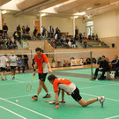 IMG_5379_JPG-1359924787