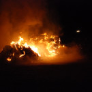 Strohballen bei Reitstall in Wiener Neudorf in Vollbrand: Brandstiftung nicht ausgeschlossen