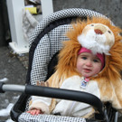 IMG_2368_JPG-1359979384