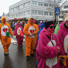 IMG_2548_JPG-1359981813