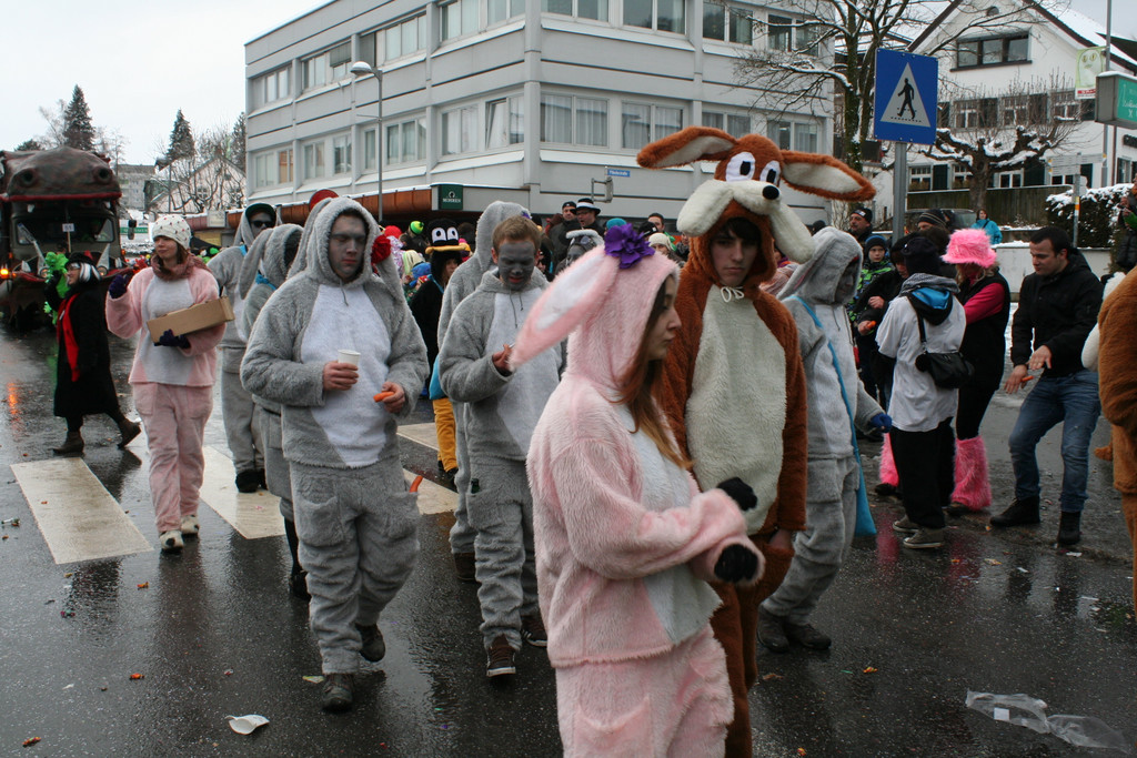IMG_2559_JPG-1359981969