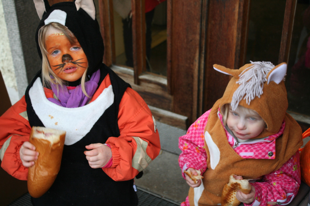 IMG_2591_JPG-1359982367