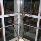 k-DSC04082.jpg