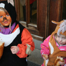 IMG_2591_JPG-1359991508
