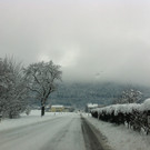 IMG_1223_JPG-1359999826
