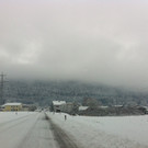 IMG_1224_JPG-1359999842