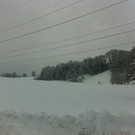 IMG_1229_JPG-1359999924