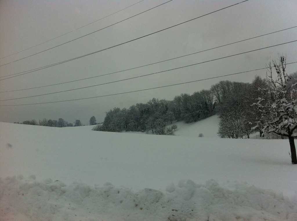 IMG_1229_JPG-1359999924