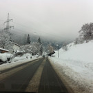 IMG_1230_JPG-1359999946
