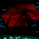 ABD0139-20130204.jpg