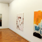 DSCN4387_JPG-1360017232