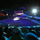 GEPA-04021381754.JPG
