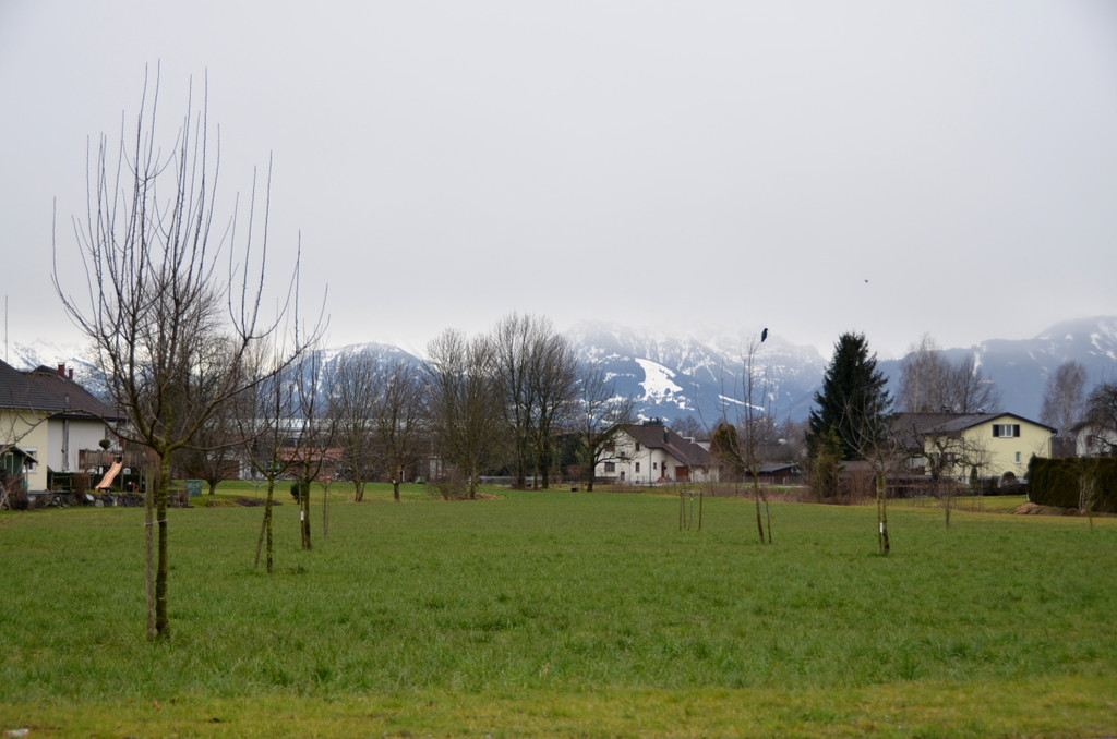HausKoblach06.JPG