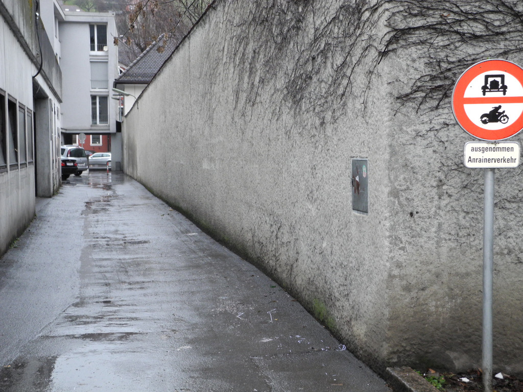 DSCN0183_JPG-1360054706