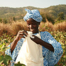 FAIRTRADE Baumwolle UPC Senegal 2_FTA Lechner.JPG