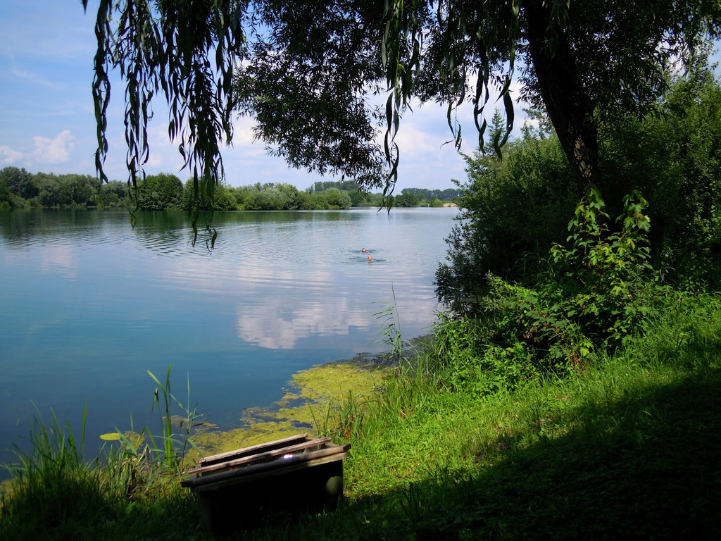 Bild vom Rhein_JPG-1360073674