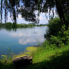 Landschafts-Foto vom Rhein