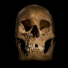 2ac6c8df6685467b99b5132777204760-2ac6c8df6685467b99b5132777204760-0.jpg