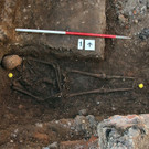 IBD0821-20130204.jpg