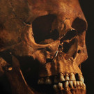 fafd03ef4a414ca9b128a738742c6b4f-fafd03ef4a414ca9b128a738742c6b4f-0.jpg