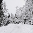 060213schneeat04003aktivnews032.JPG