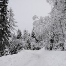 060213schneeat04003aktivnews033.JPG
