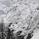 060213schneeat04003aktivnews038.JPG