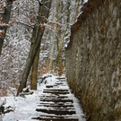 normal_06022013fmt_kapuzinerberg_ta_014.JPG