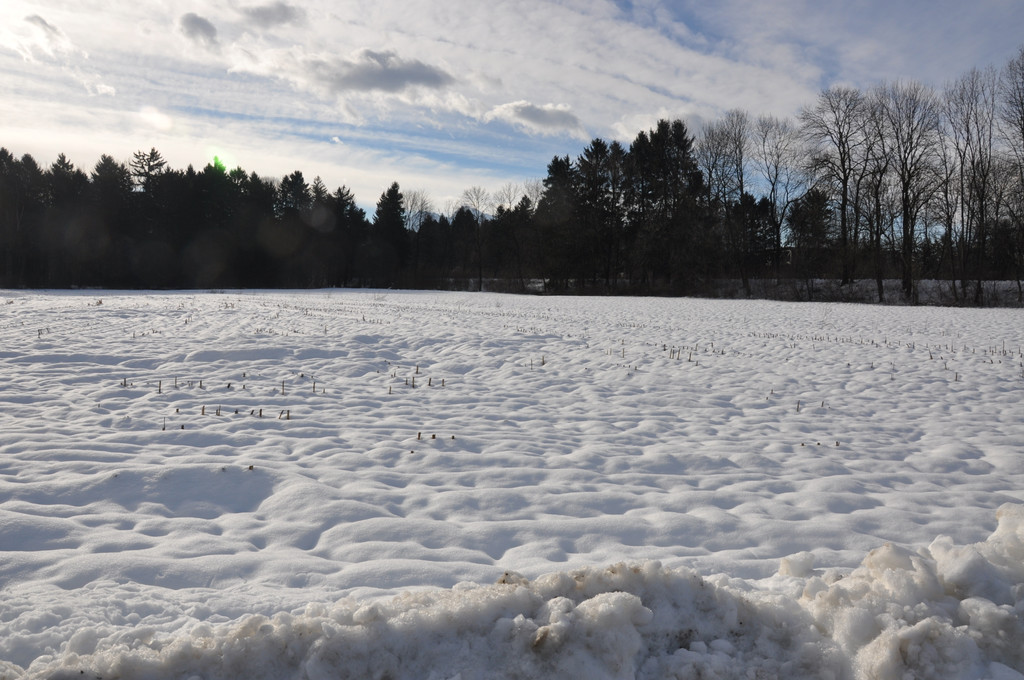 DSC_0020_JPG-1360217330