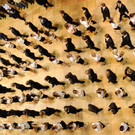 ABD0232-20130206.jpg