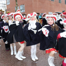 H__rbranzer Faschingsumzug 2013 _8__jpg-1360240491